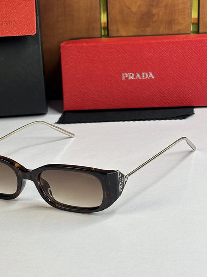 PRADA X GENTLE MONSTER EDITION TIGER BROWN